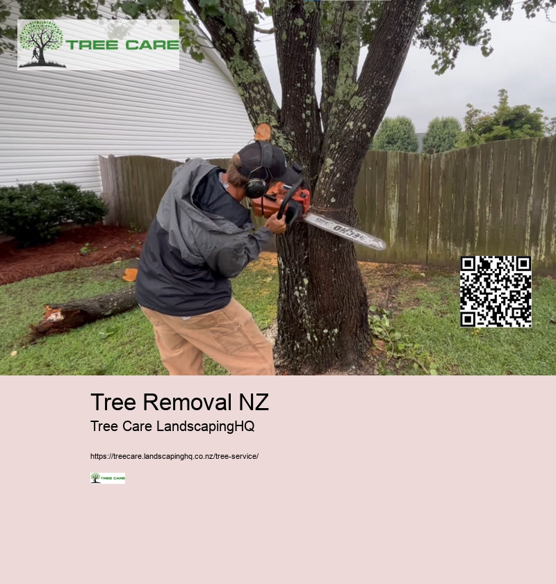 Best Time To Trim Trees NZ