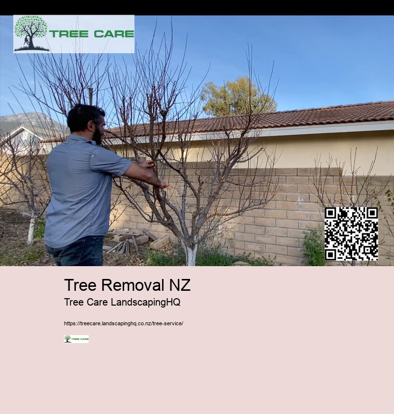 Hawkes Bay Tree Surgeons