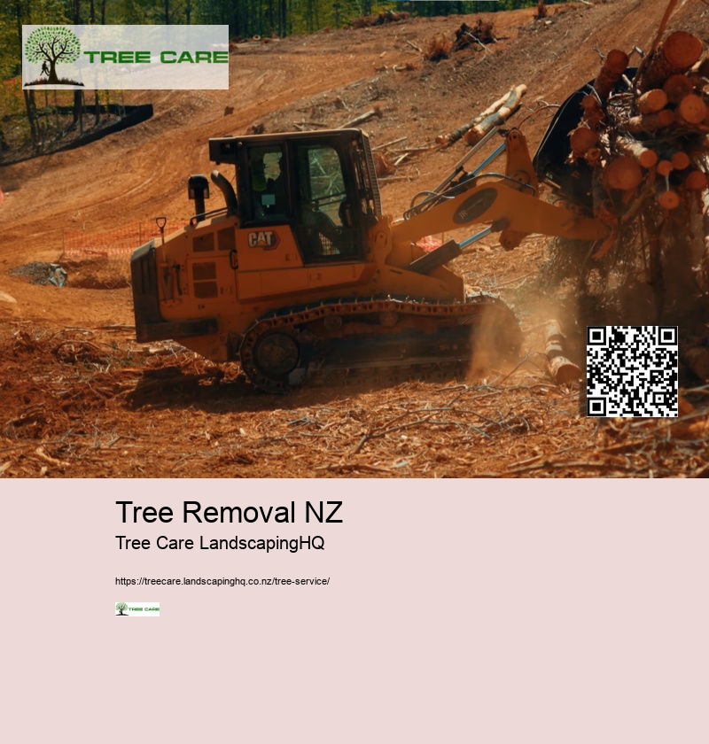 Tree Removal NZ