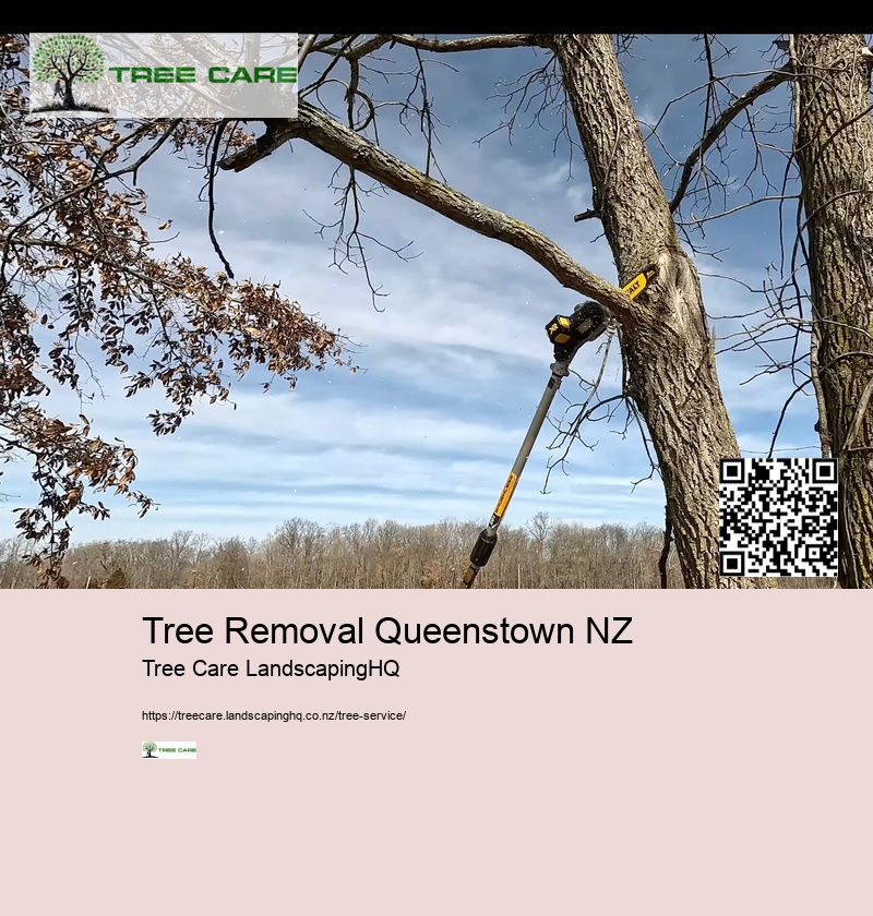 Tree Removal Queenstown NZ