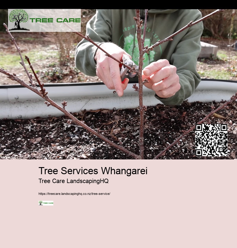 Tree Services Kapiti