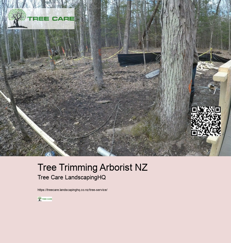 Tree Trimming Arborist NZ