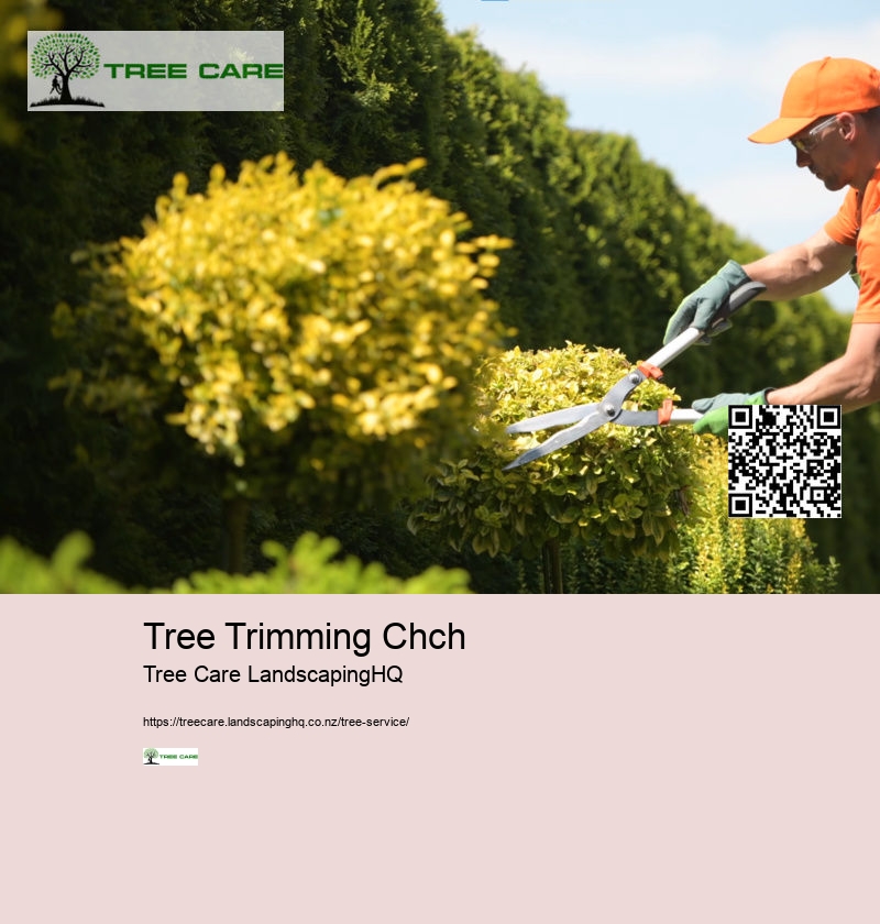 Arborist Hastings NZ