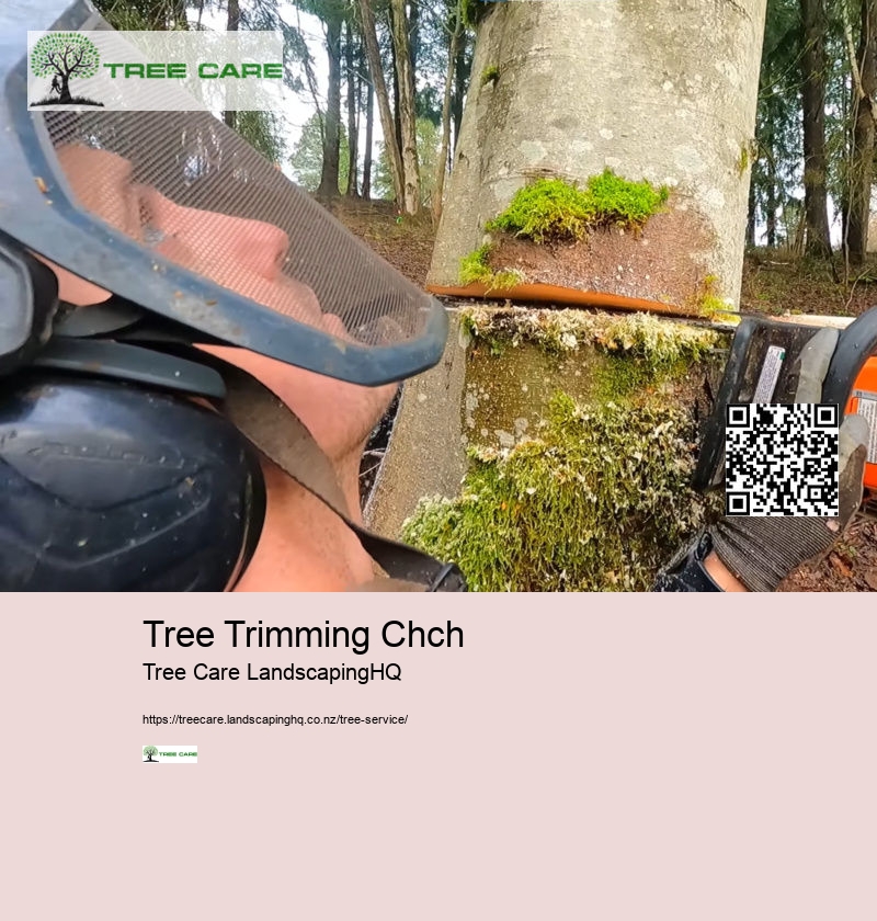 Tree Trimming Chch