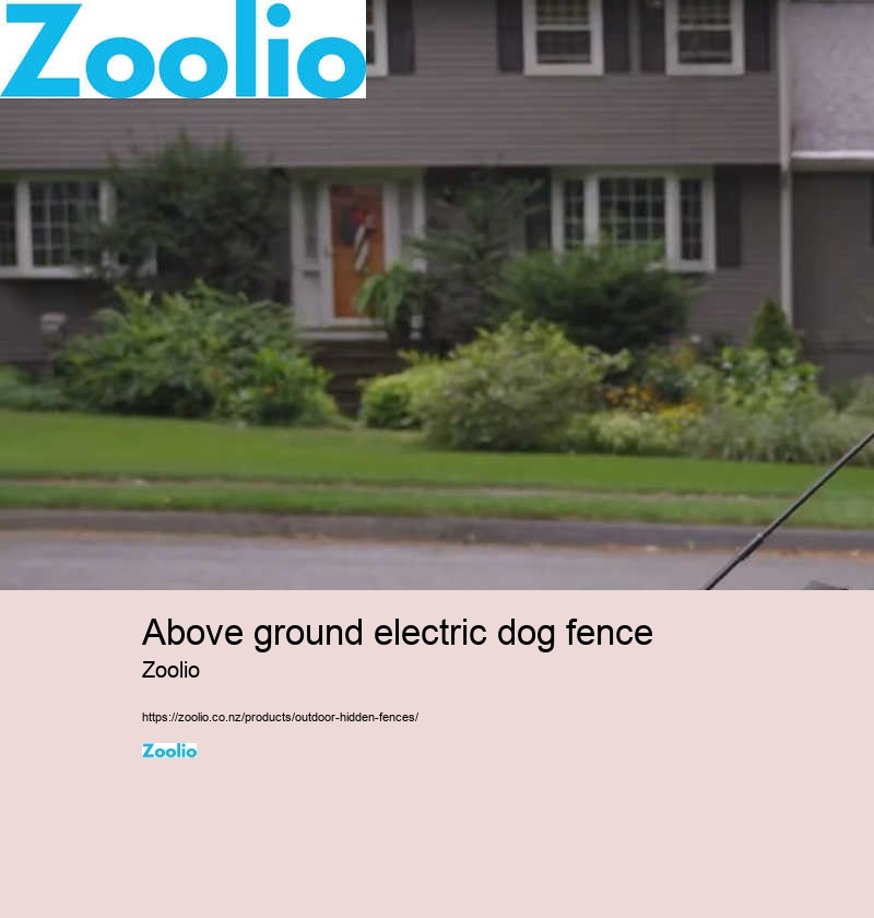 above ground electric dog fence