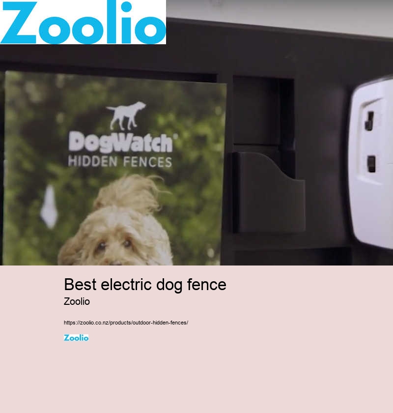 best electric dog fence