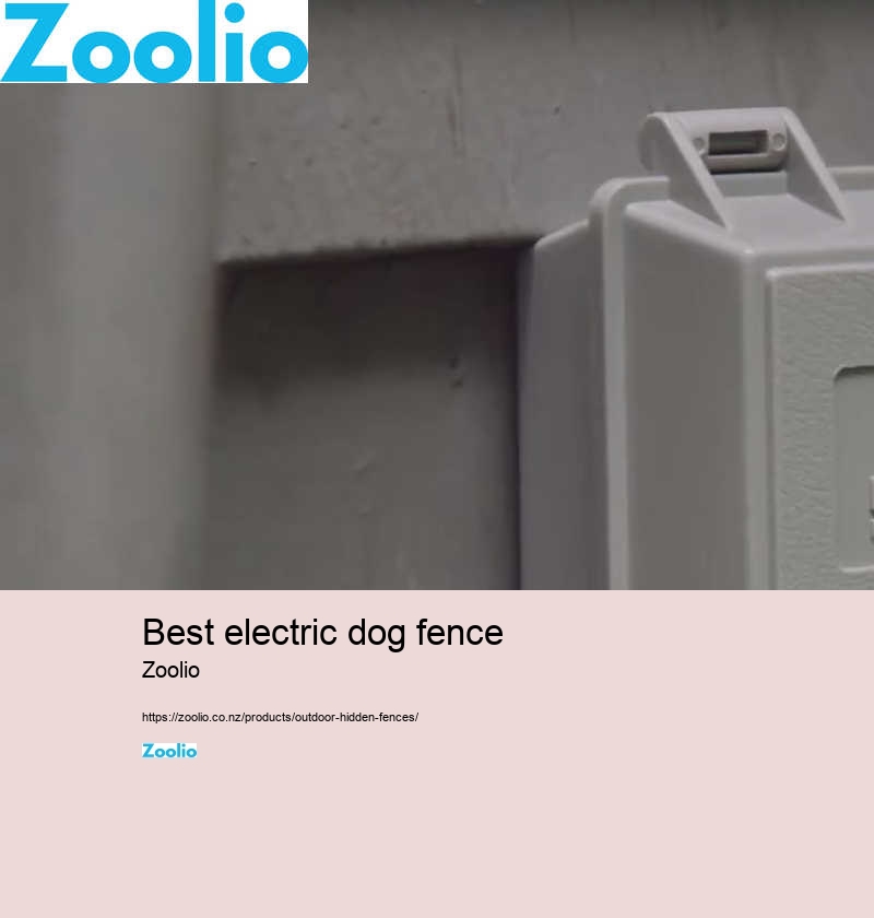 electric dog fence installation