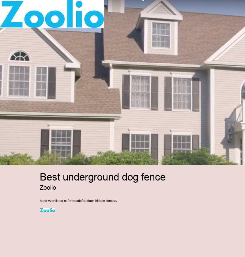 best electric dog fence