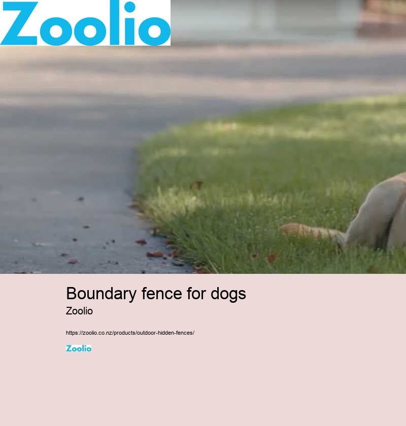 boundary fence for dogs