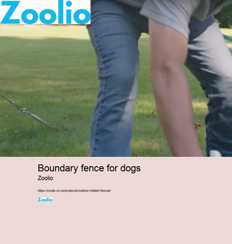 dog fencing