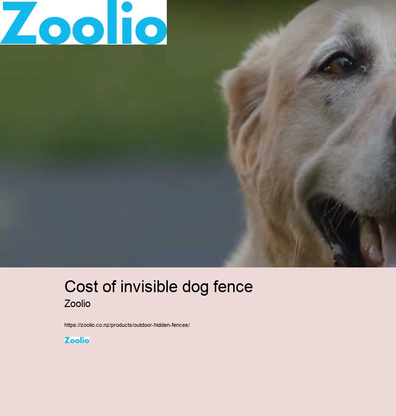 cost of invisible dog fence