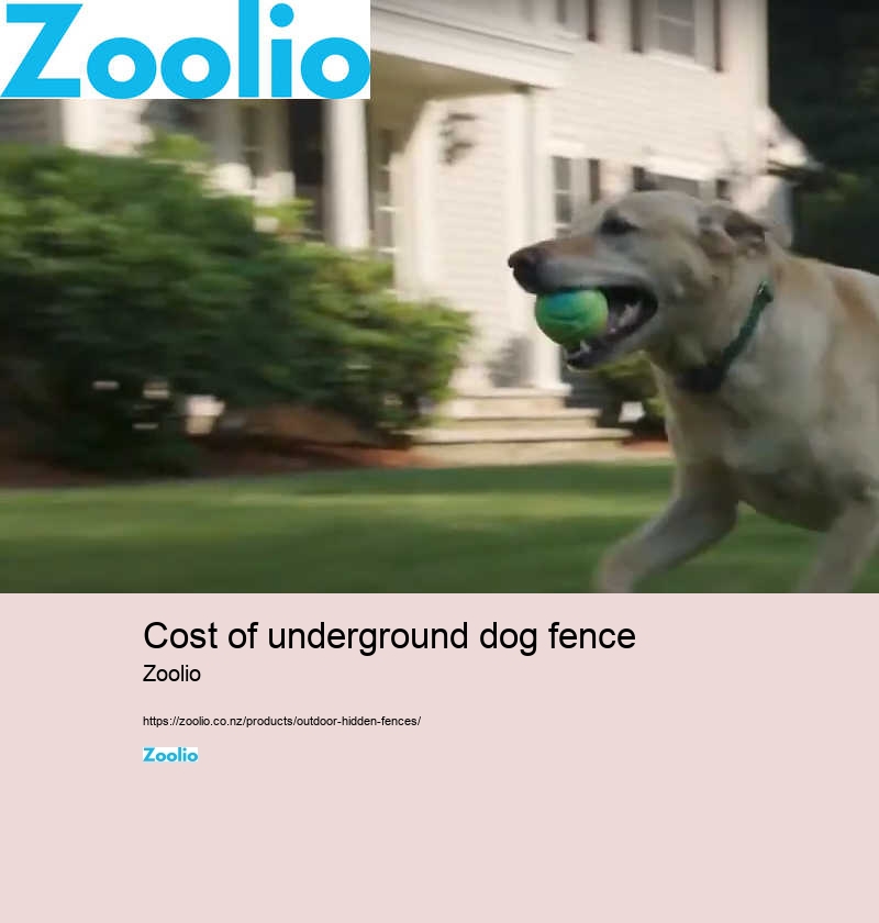 cost of underground dog fence