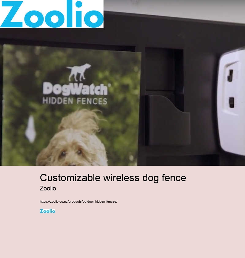 customizable wireless dog fence