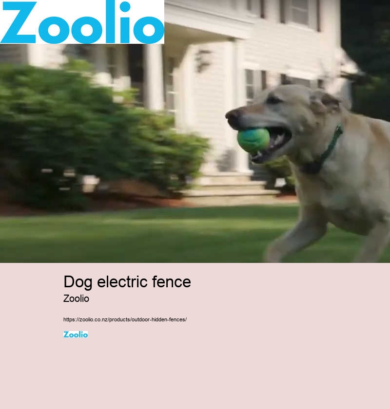 dog electric fence