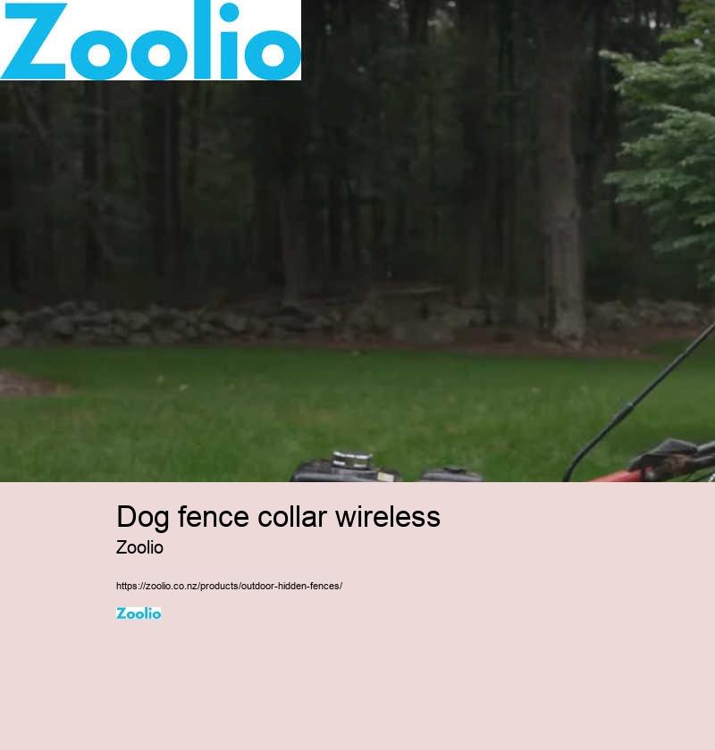 best wireless dog fence