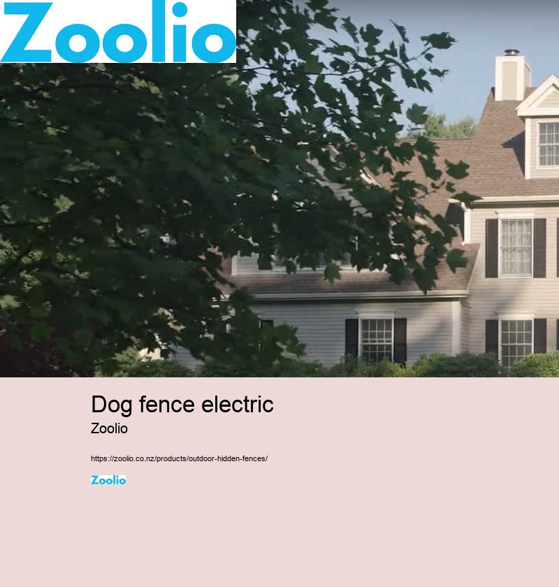 electric dog fence