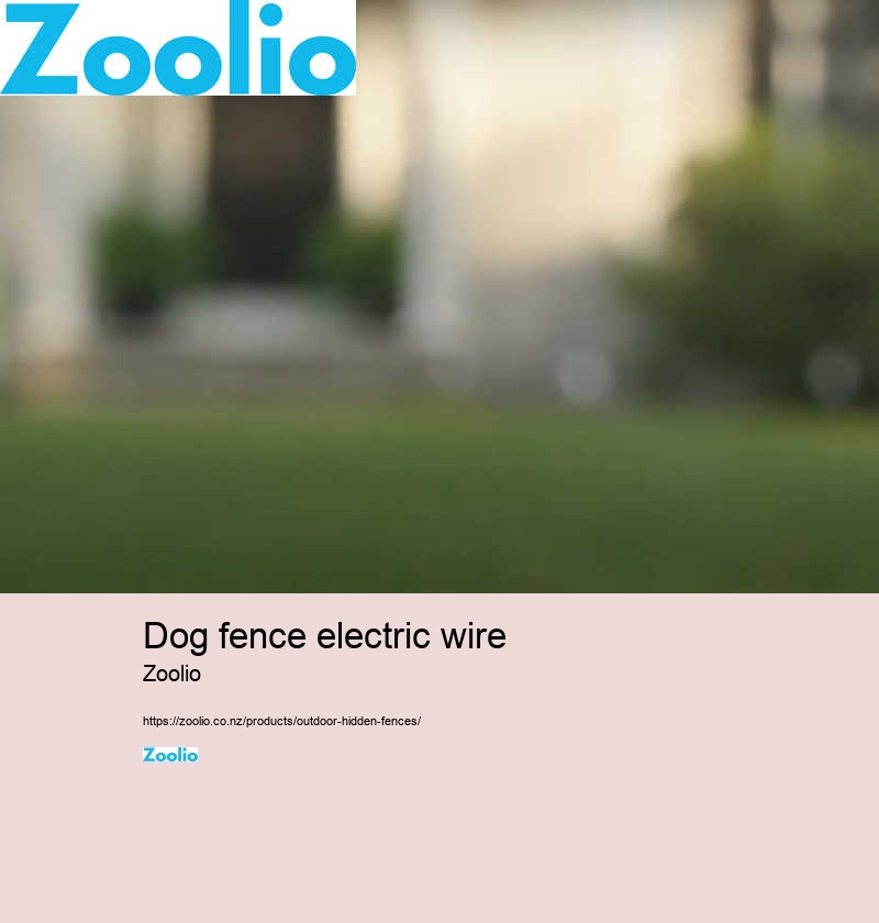 best electric dog fence