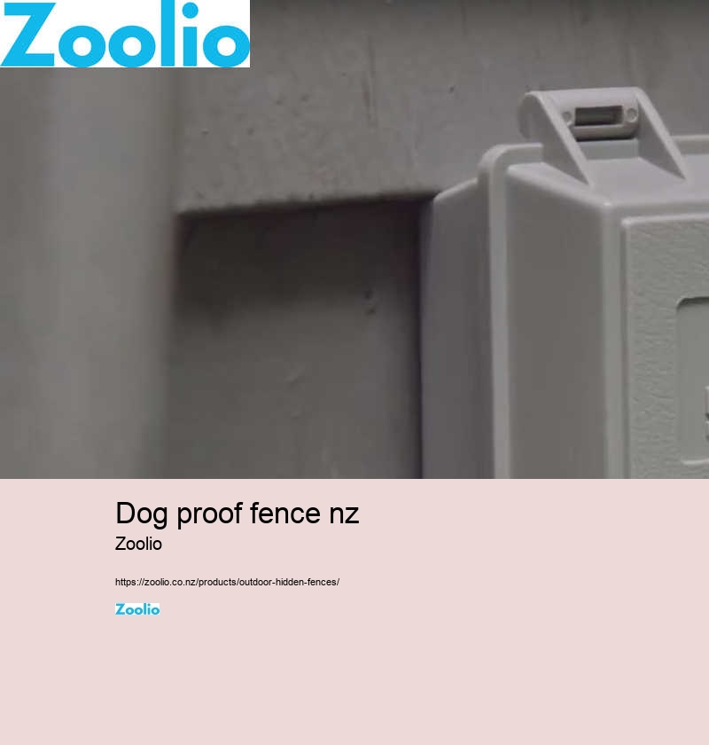 dog fence electric wireless