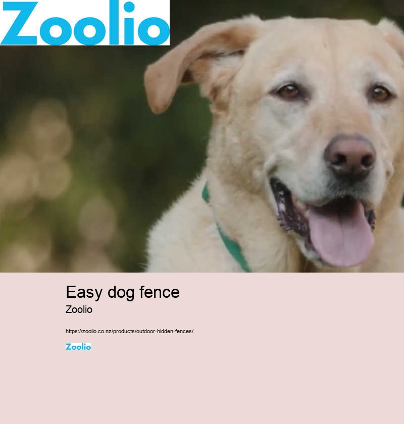 easy dog fence