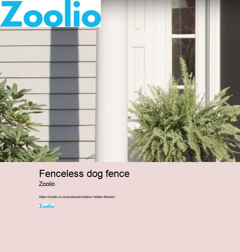 dog perimeter fence nz