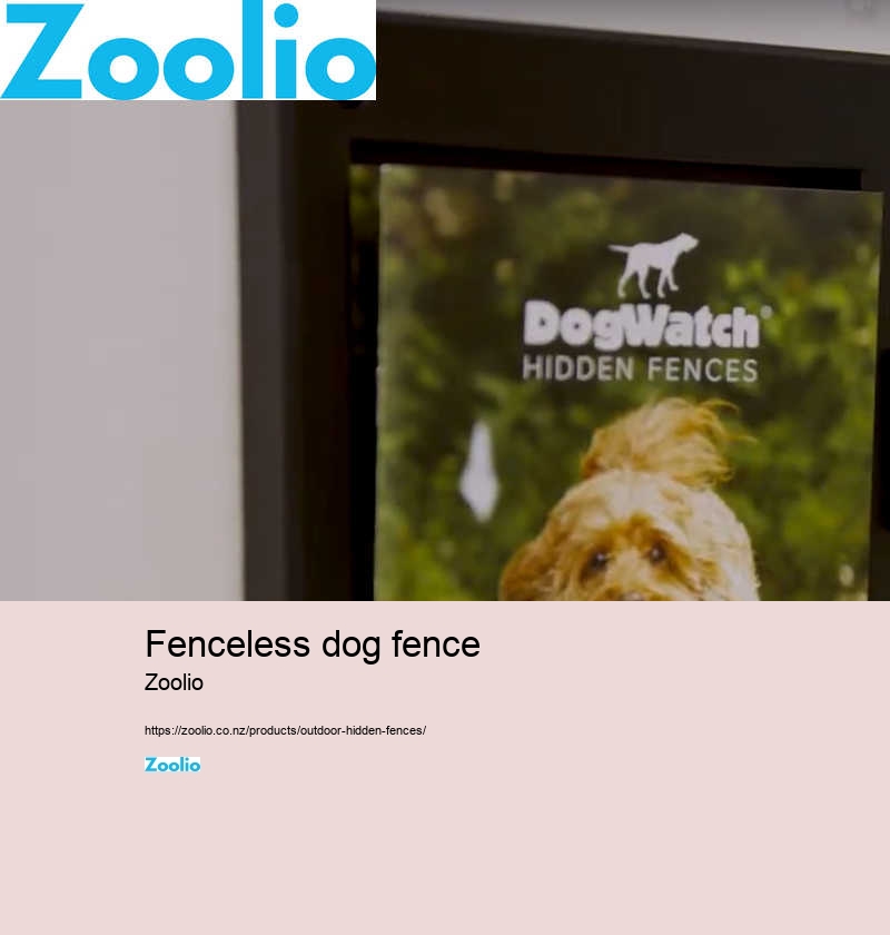 fenceless dog fence