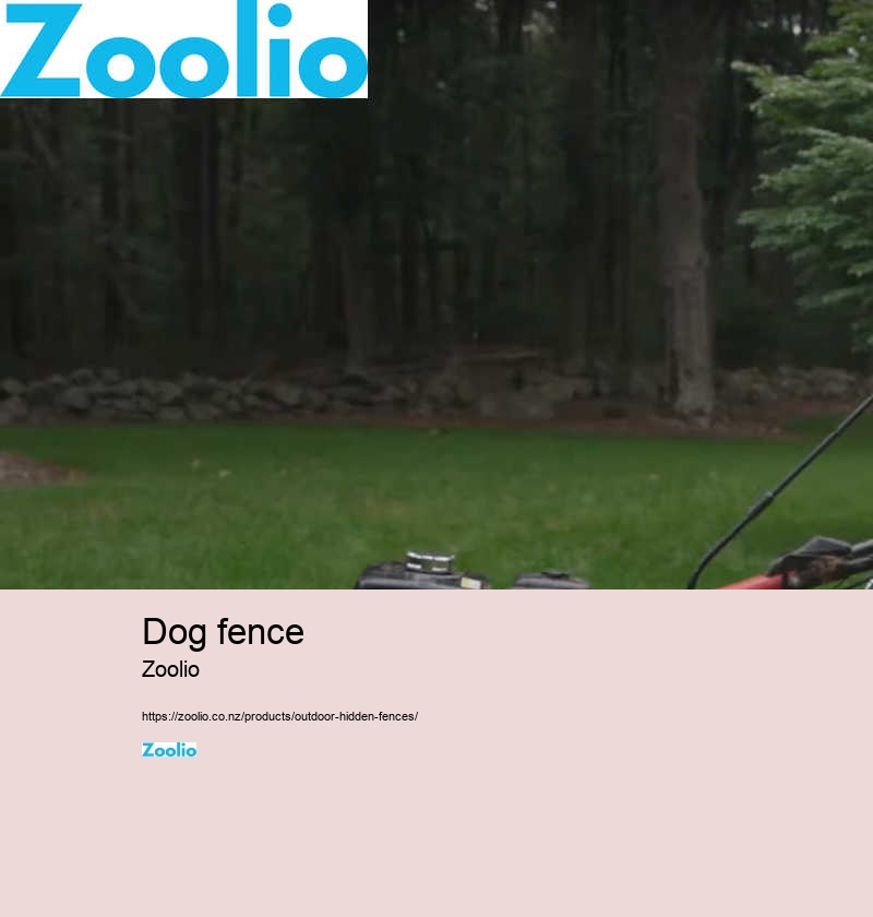 customizable wireless dog fence