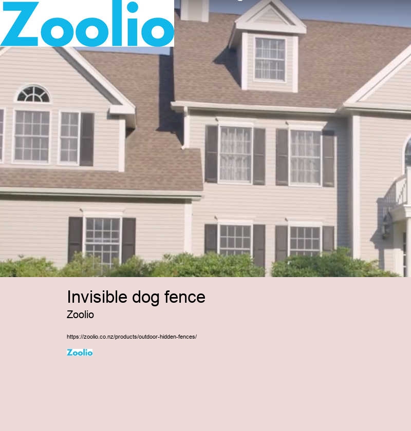 invisible dog fence