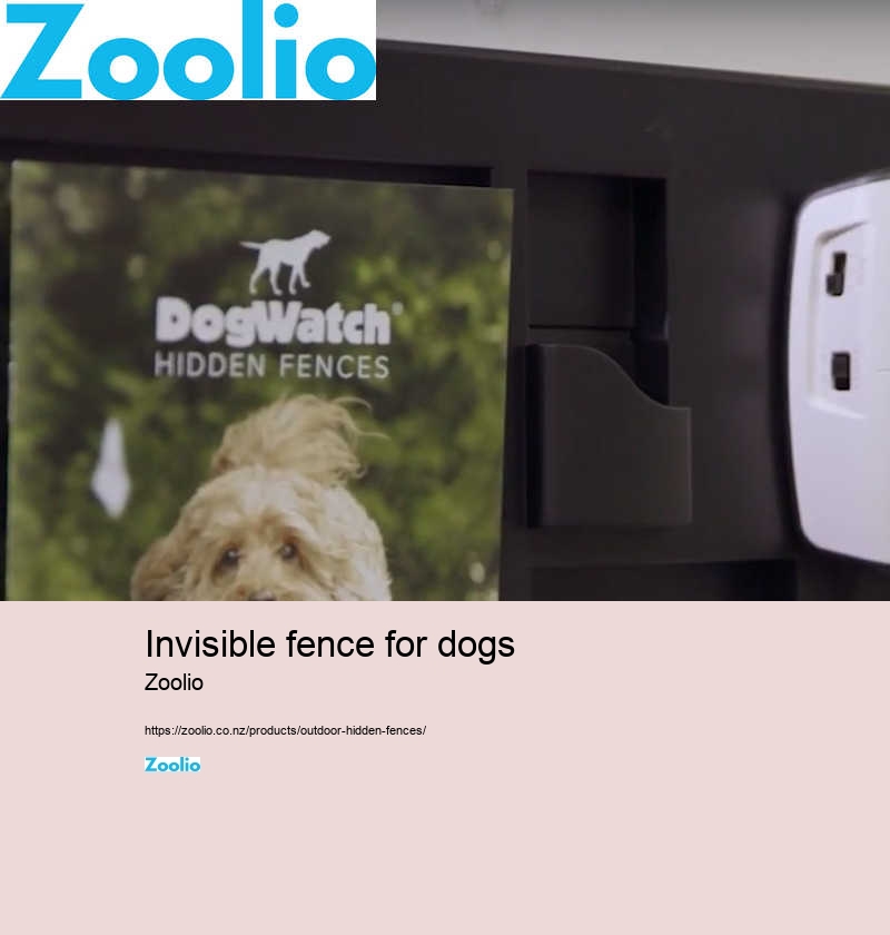 build your own dog fence