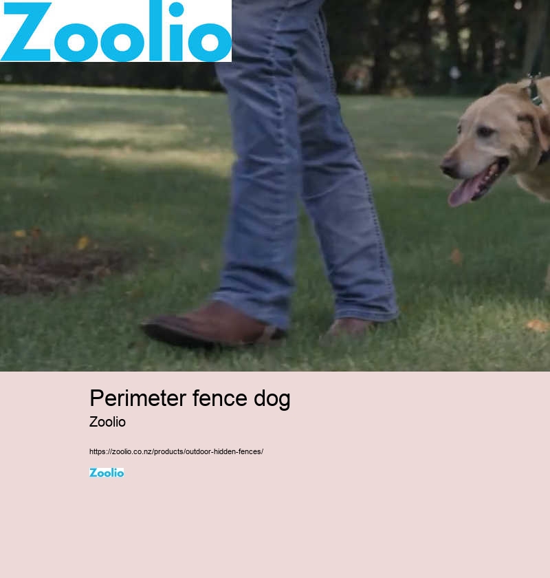 portable dog fence nz