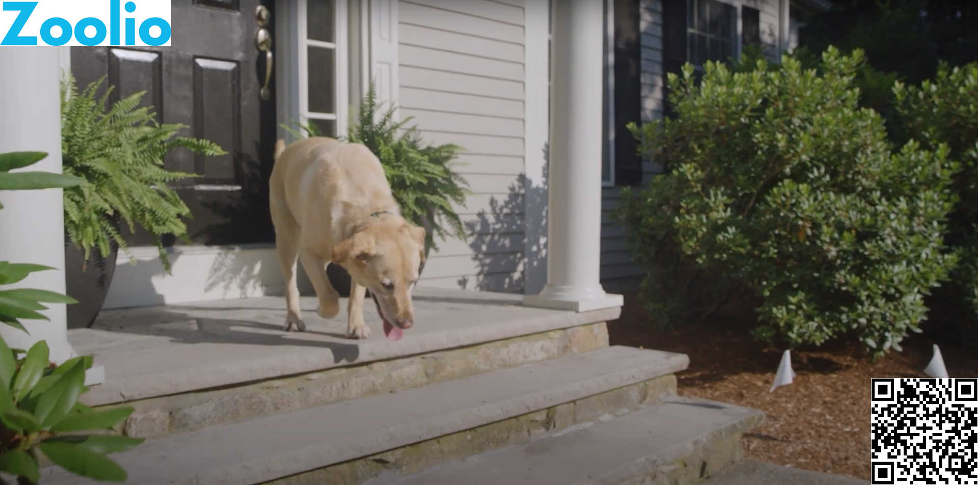 gps wireless dog fence canada