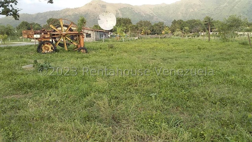 Descripción de la imagen