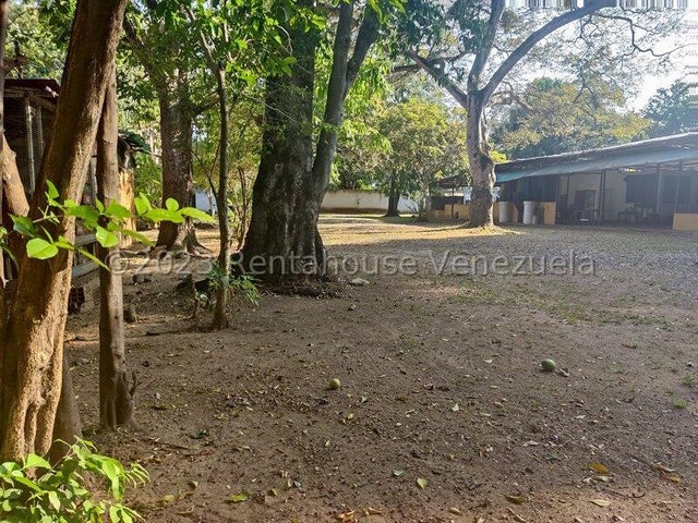 Descripción de la imagen
