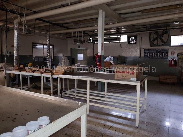 Descripción de la imagen