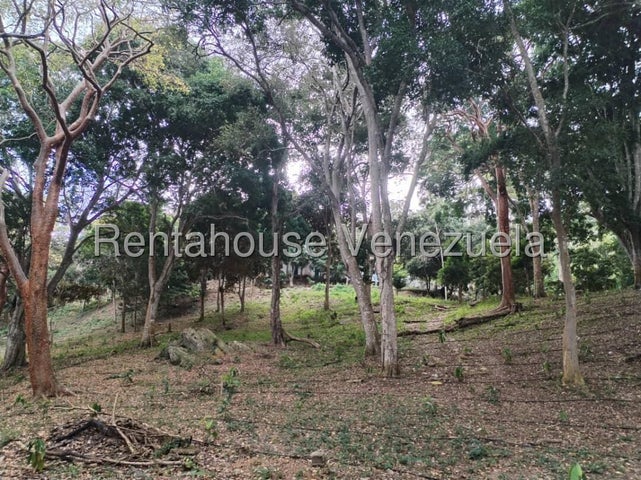 25-12828 Terreno en Venta de 1062,72m con ubicación estratégica
