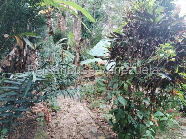 25-12828 Terreno en Venta de 1062,72m con ubicación estratégica