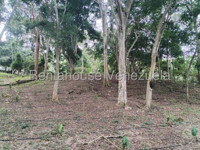 25-12828 Terreno en Venta de 1062,72m con ubicación estratégica