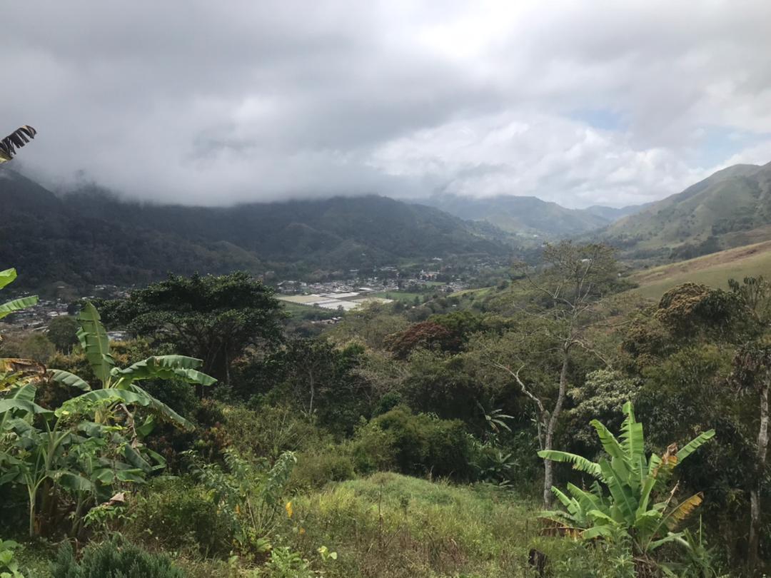 SE VENDE EN CARIPE FINCA EN ALTOS DE LA DONERA 