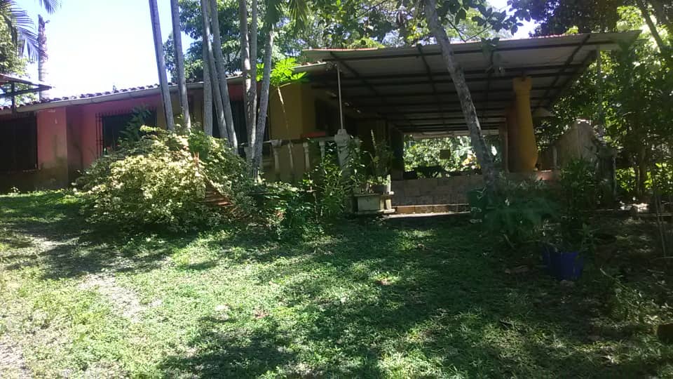 Descripción de la imagen