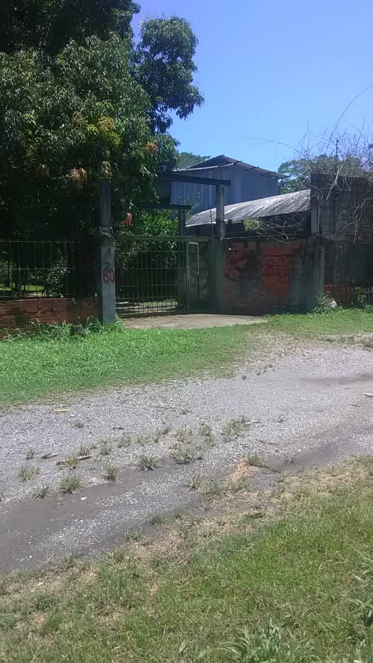 Descripción de la imagen