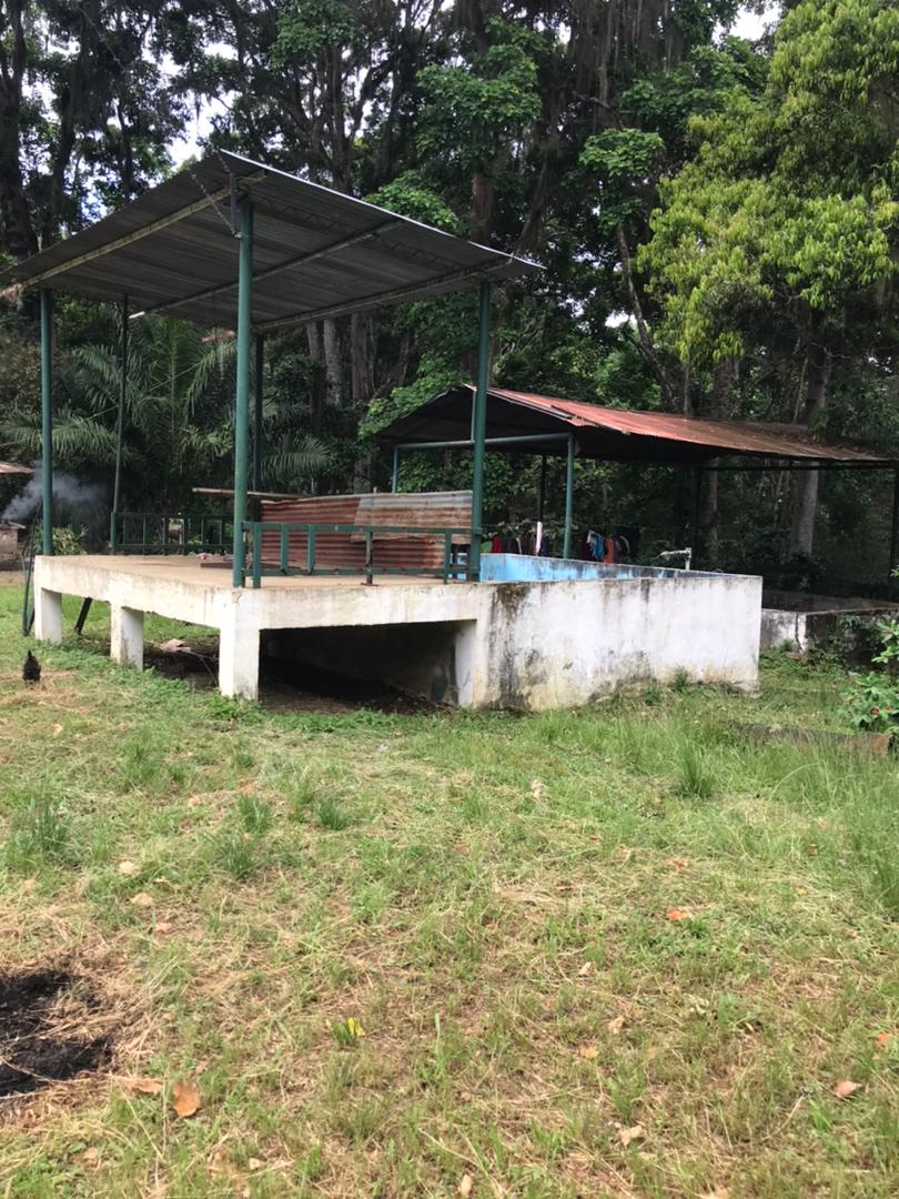 SE VENDE FINCA PRODUCTIVA 