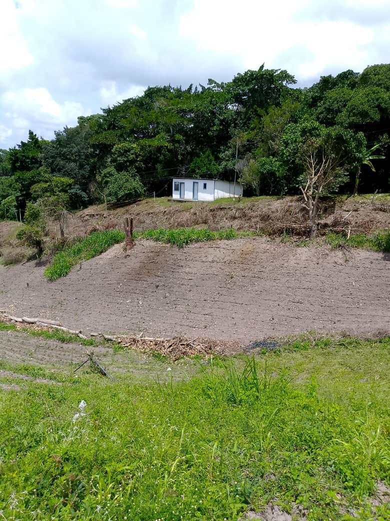 SE VENDE FINCA PRODUCTIVA 