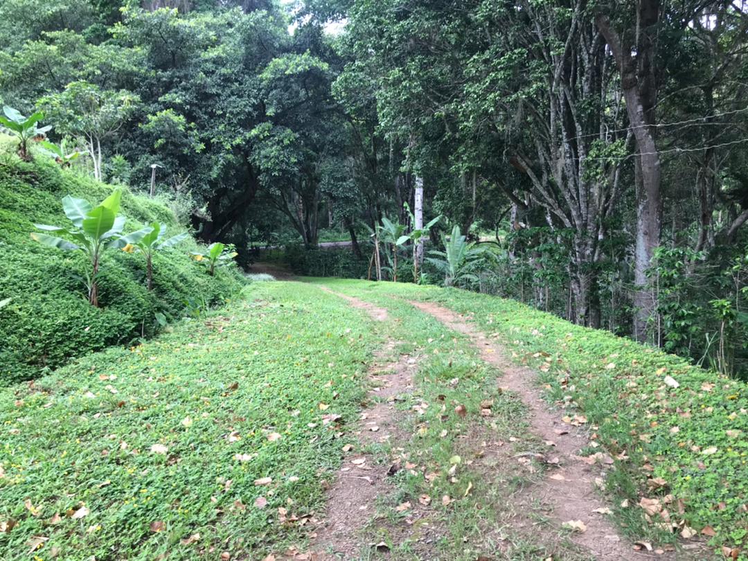 SE VENDE FINCA PRODUCTIVA 