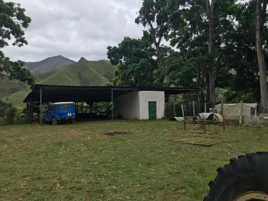 SE VENDE FINCA PRODUCTIVA 