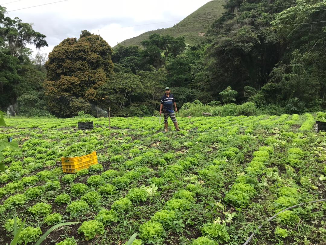 SE VENDE FINCA PRODUCTIVA 