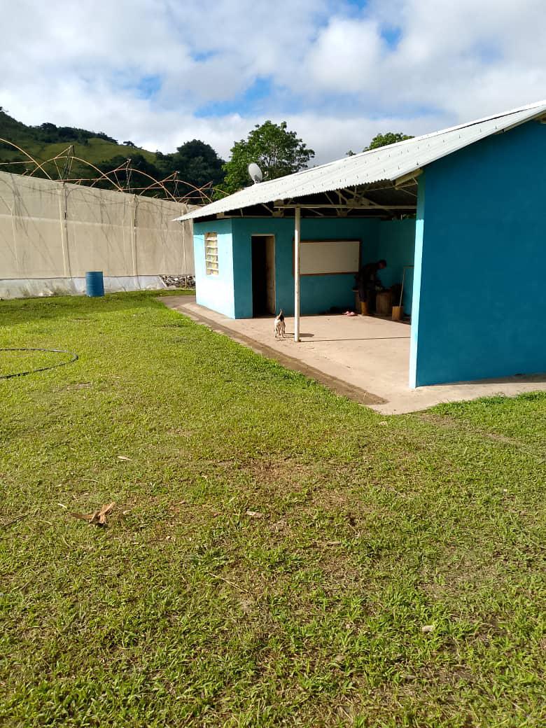 SE VENDE FINCA PRODUCTIVA 