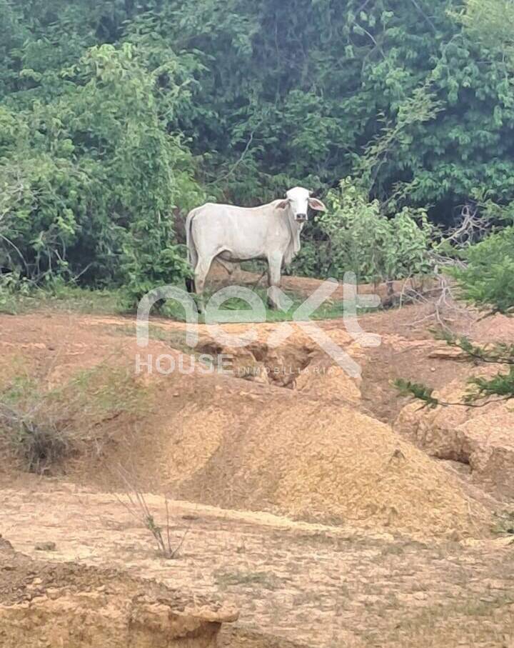 Finca en venta Lara Zulia NEXT 2742