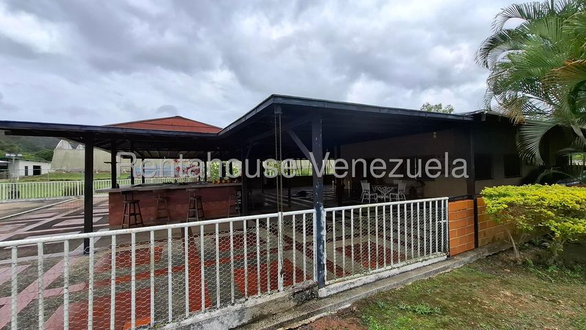 Descripción de la imagen
