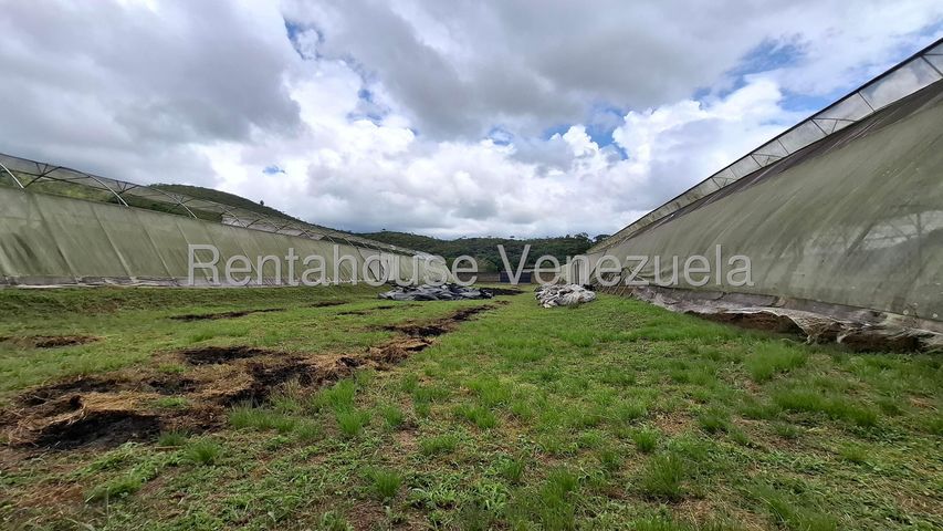 Descripción de la imagen