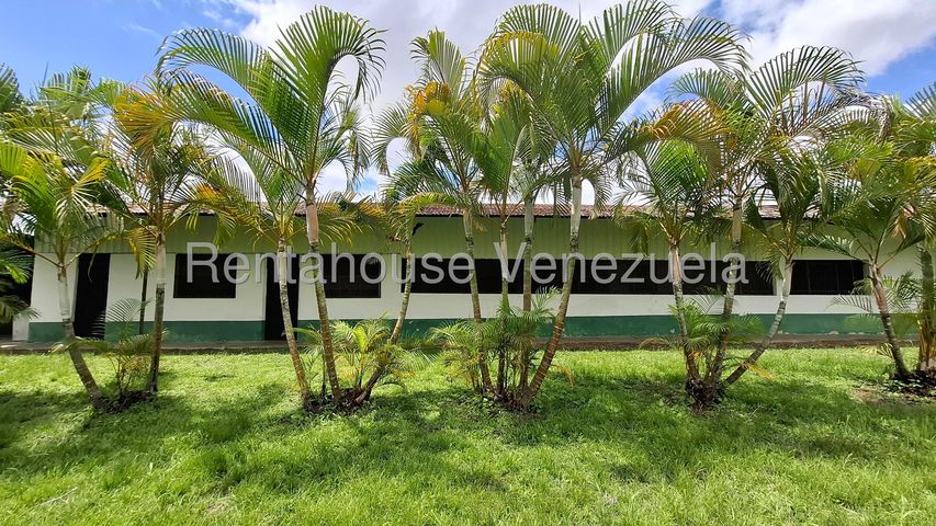 Descripción de la imagen