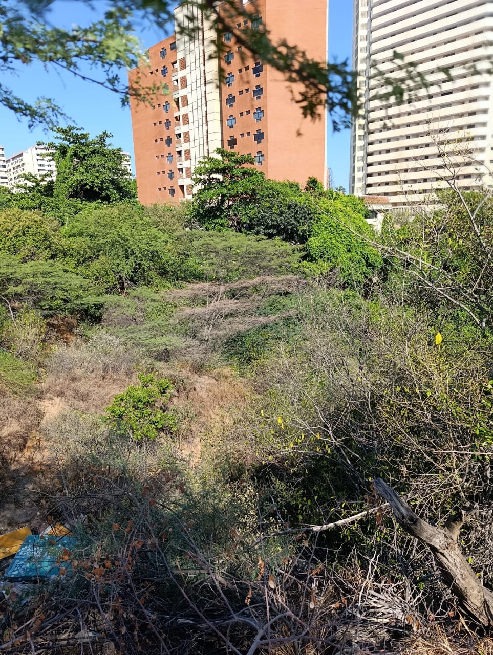 TERRENO EN VENTA, VENEZUELA